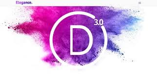 Develop wordpress website with divi theme included