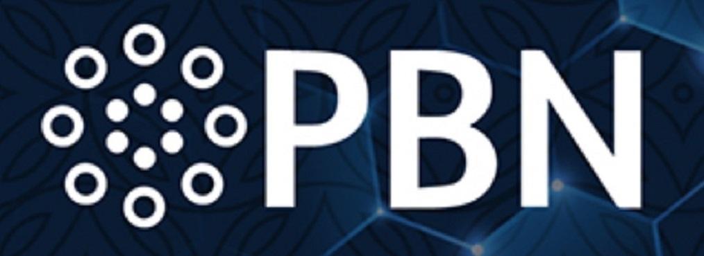 Buy 50 Permanent homepage High DA PA PBN backlinks for your website