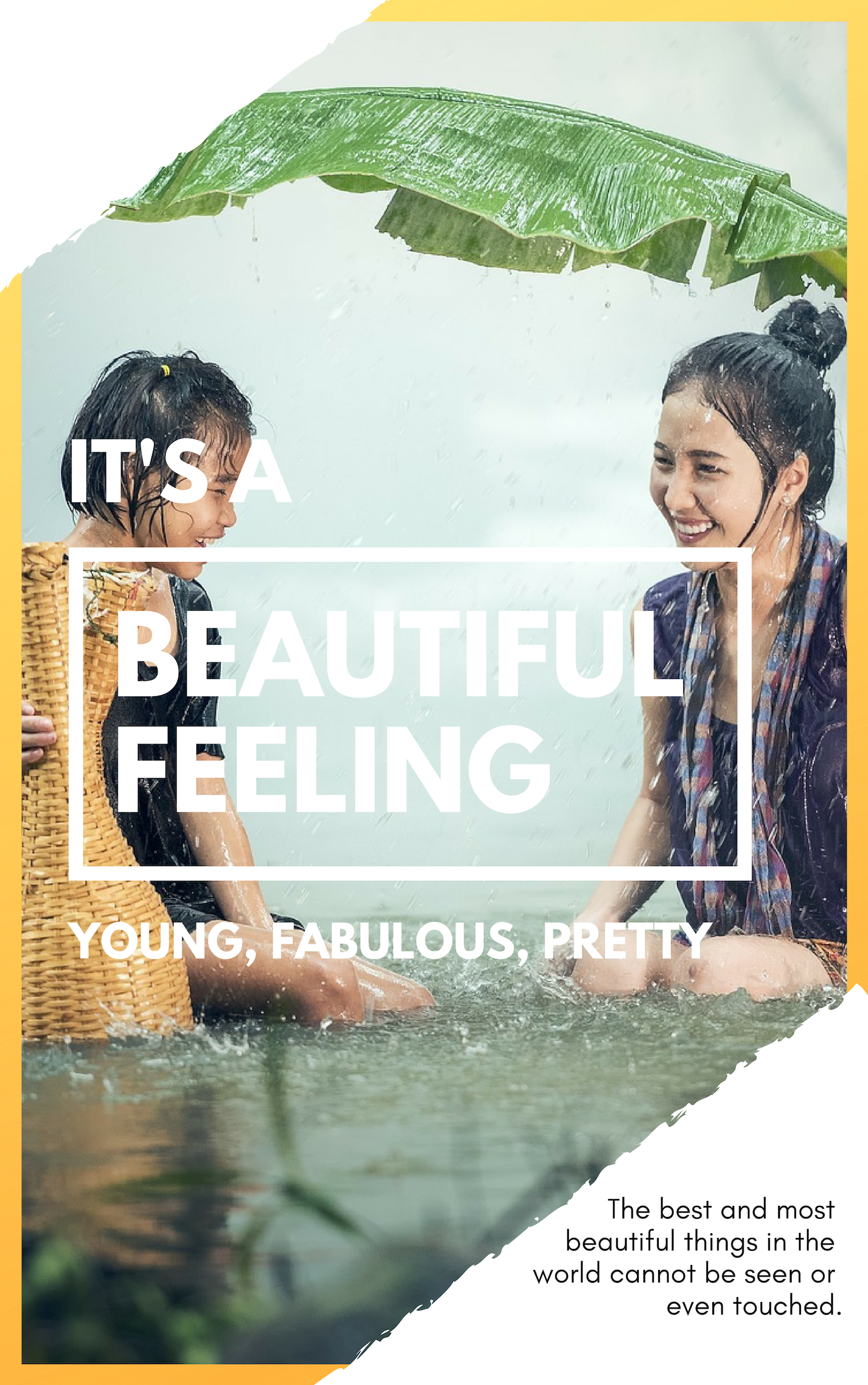 Book Cover & Magazine Cover with extra Services