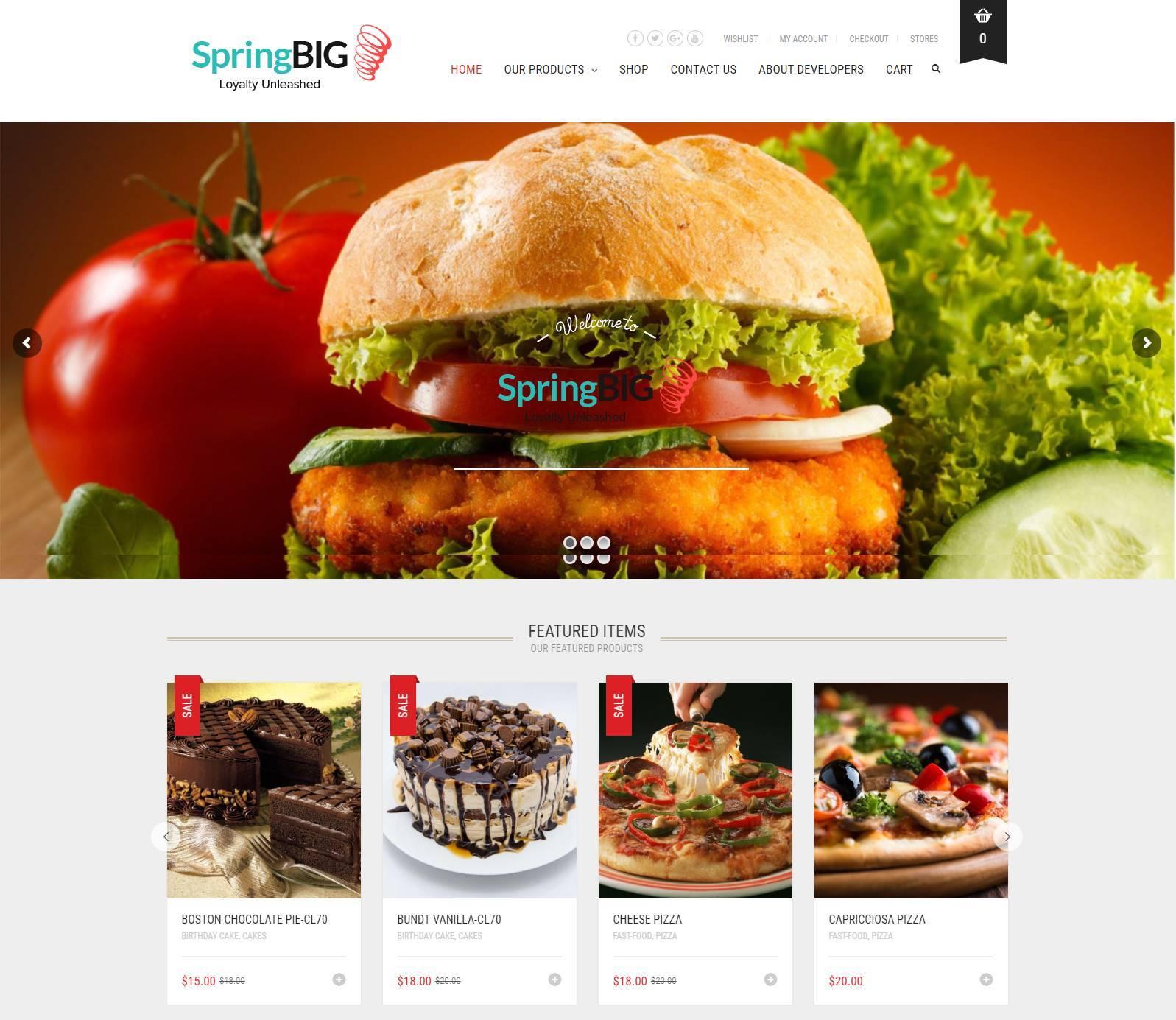 Design Responsive Wordpress Landing Page Or Squeeze Page