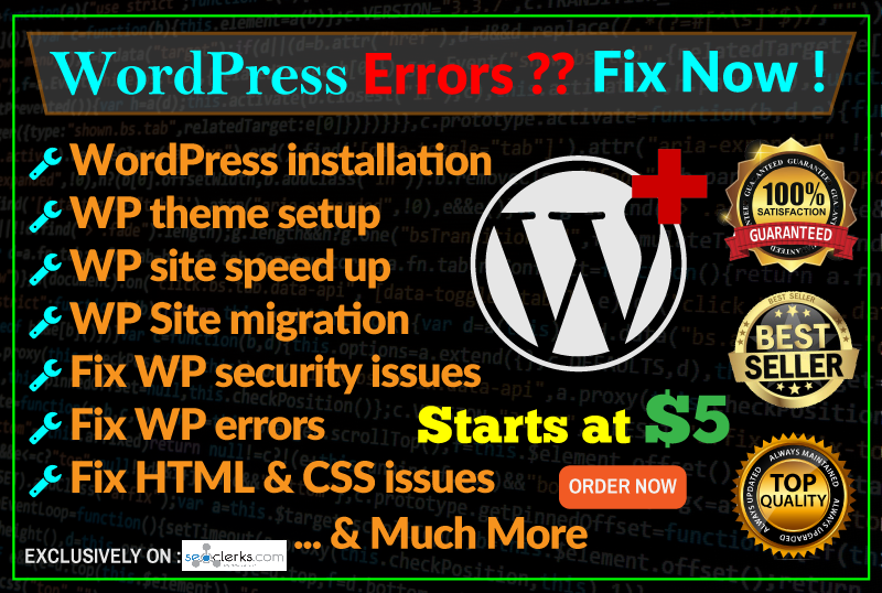 I Install Wordpress, Setup Theme And Fix Any Wp Issues Or Errors