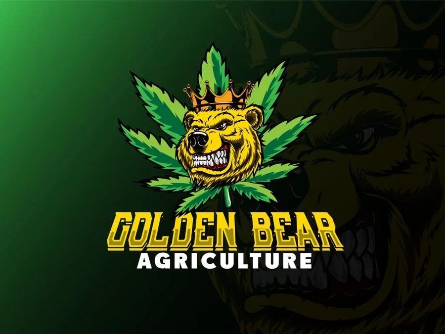 I will design a creative mascot or cartoon logo for you