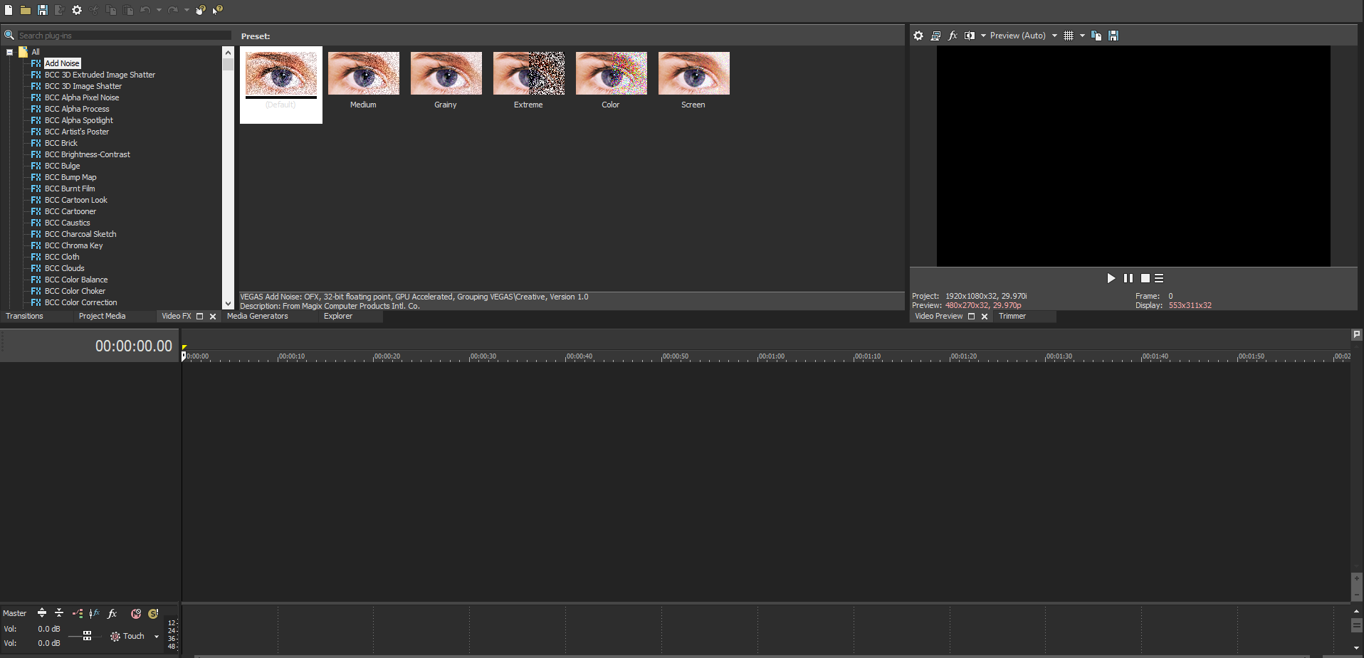 Professional Video Editing for Businesses or for Personal Use