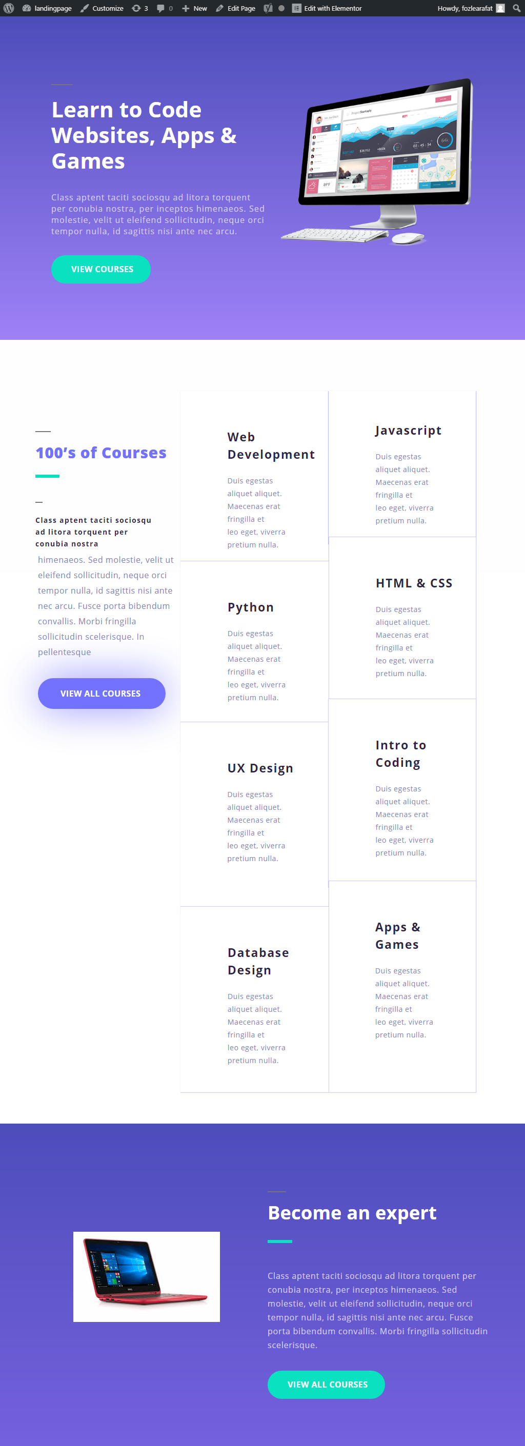 create a responsive wordpress website or landing page