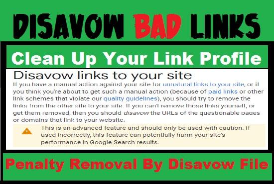 Disavow Toxic Bad Spammy Links Removal, Disavow File, Penalty Recovery, Link Detox Audit