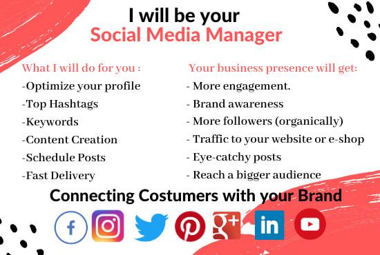 i will be your social media manager marketing with 1 post each day