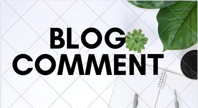 30 Niche related high quality blog comment