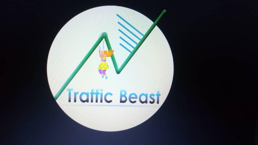 5k+traffic for your website and blogs 