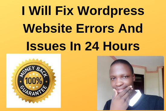 I'll fix wordpress website errors in 24 hours