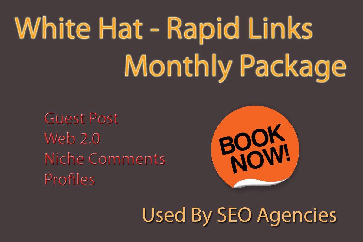 White Hat - Rapid links- Monthly Package - Used By SEO Agencies - Guaranteed Safe