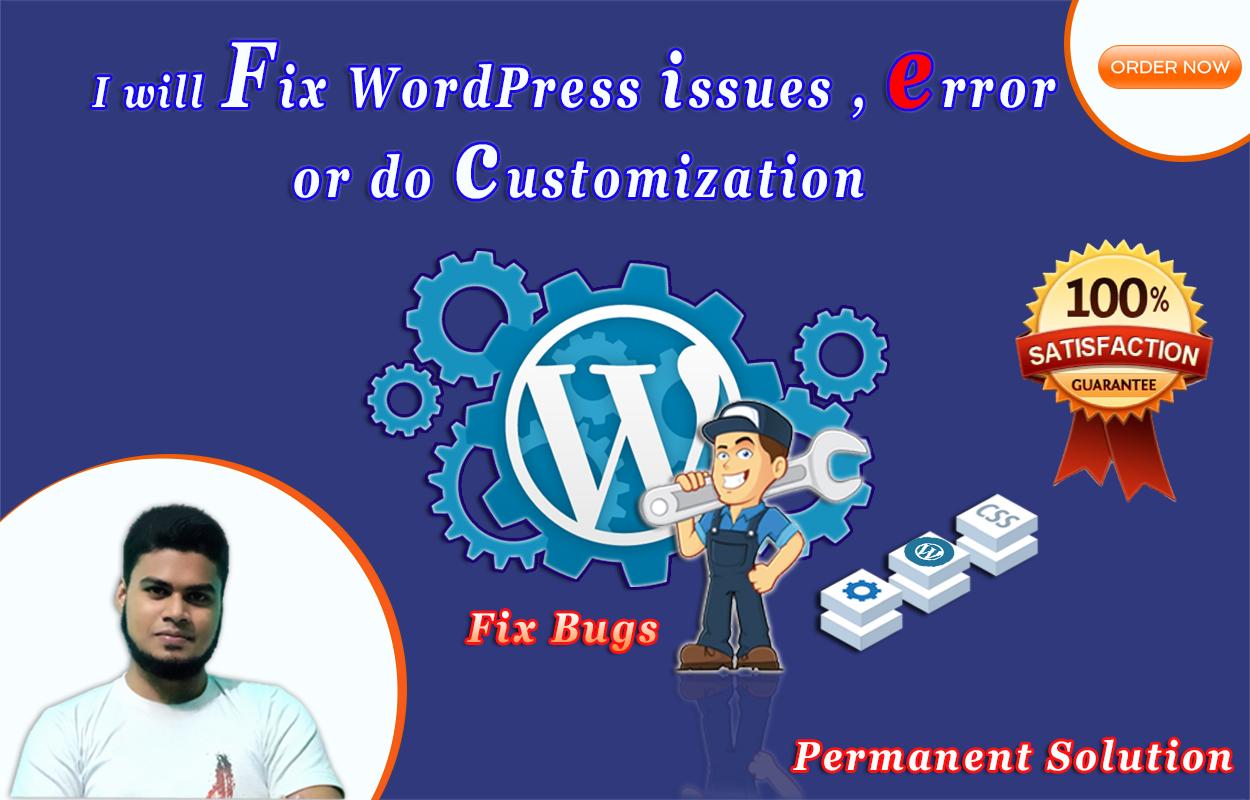 I will fix WordPress issues , error or do customization