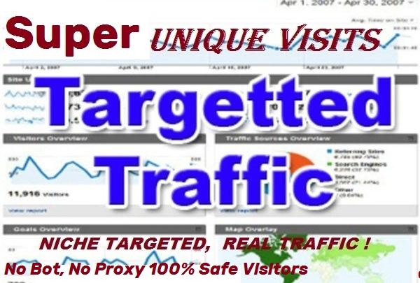 I'll drive 40.000 to 60.000 ++ real human Visitors + BONUS