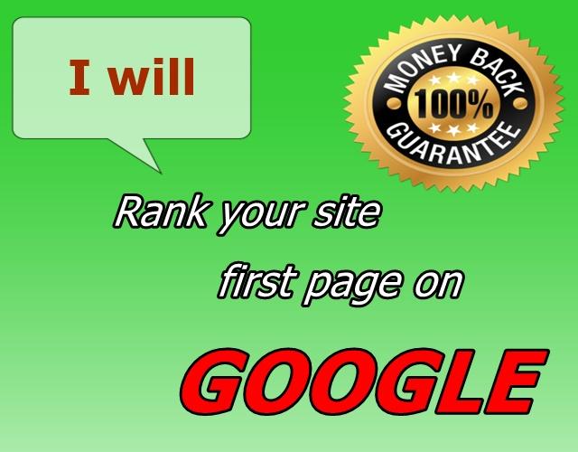 Rank your website in GOOGLE first page , guranteed
