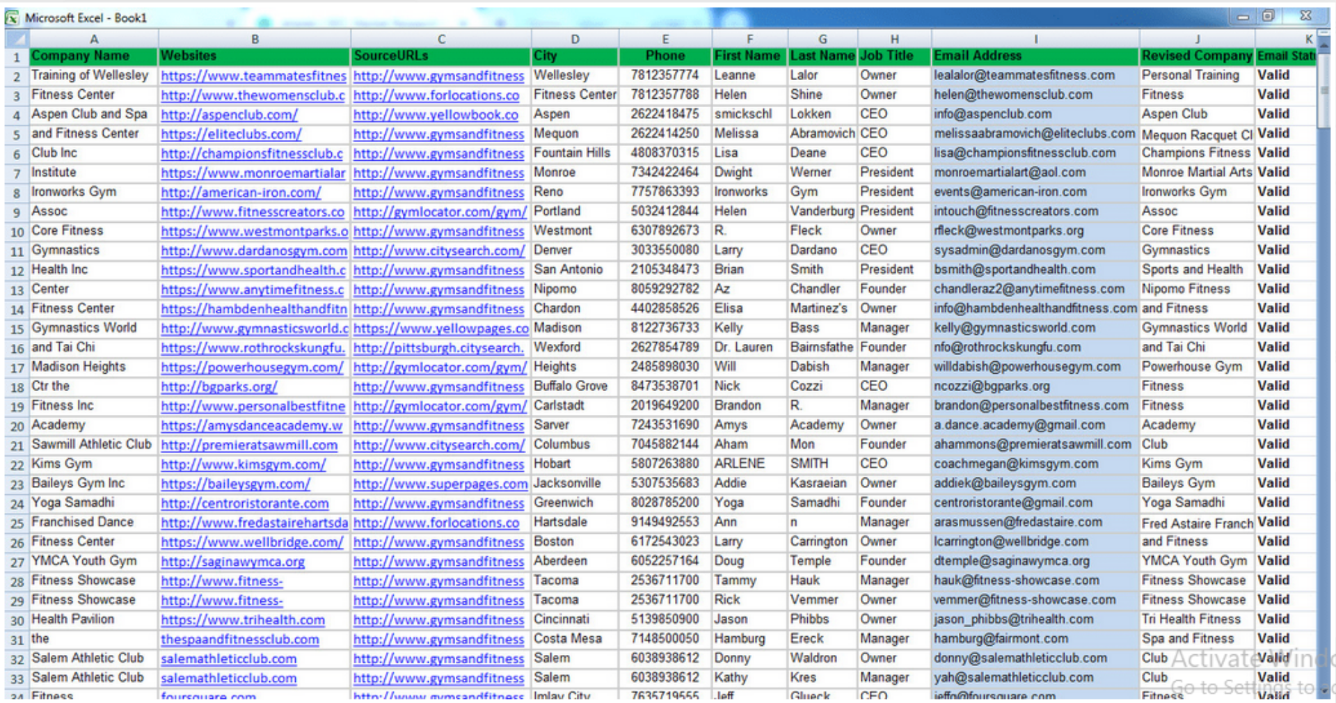 B2B Lead Generation,web research, Fastest And Accurate Excel Data Entry Job
