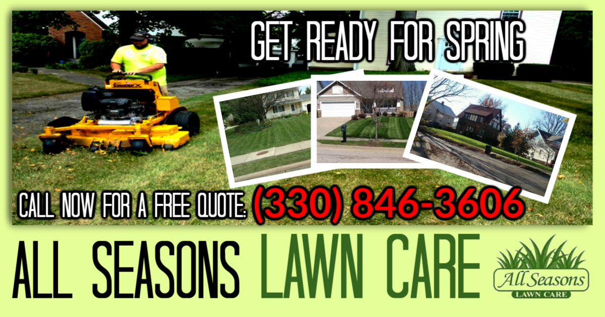 Flyer Design for Your Business 