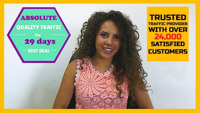 I Will Drive Real And Genuine Traffic To Your Website For 1 Month