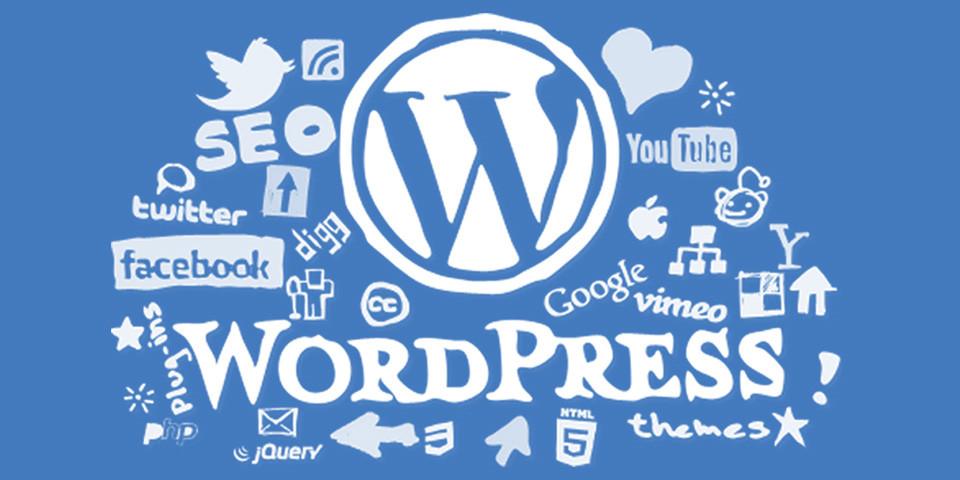 Develop A Professional And Responsive Wordpress Website