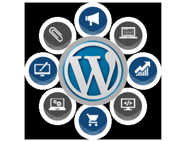 I will do wordpress website design