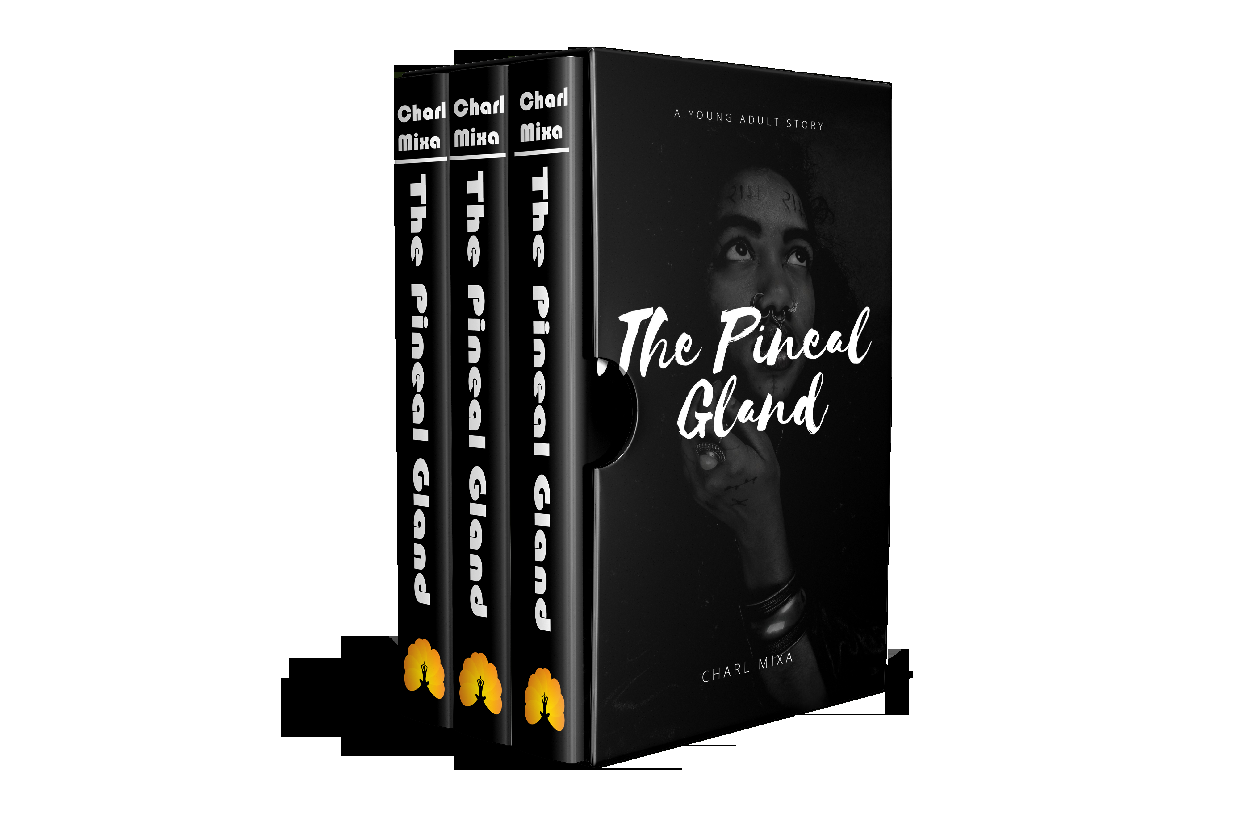 A GREAT E BOOK COVER OR KINDLER COVER