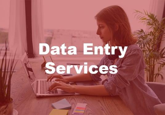 I will do the best data entry, copy paste and typing job for you