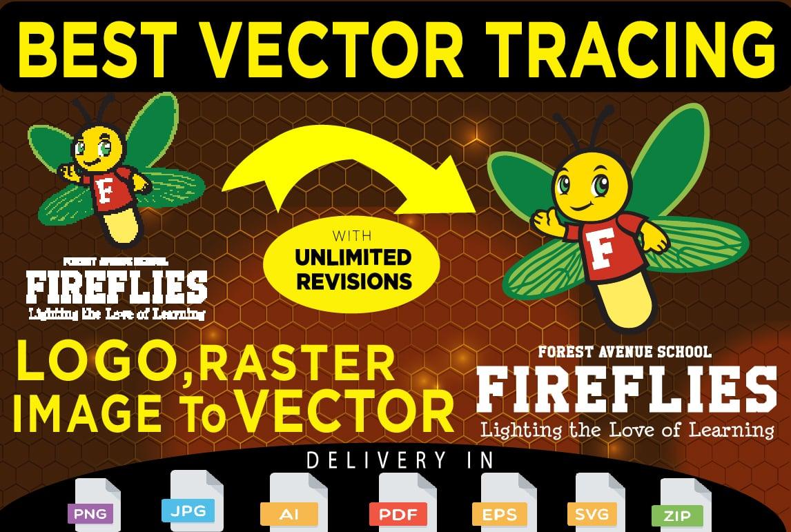 Vector Tracing On Image Or Logo, Vector Trace, Redesign, Vectorise
