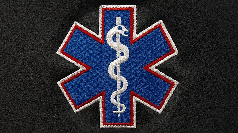 I Will Do Embroidery Digitizing With High Quality In Dst,Pes