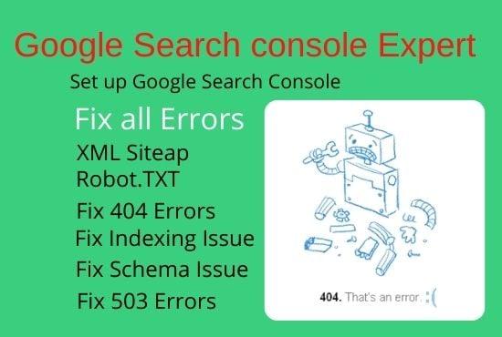 I will fix Google search console errors | Google indexing Error