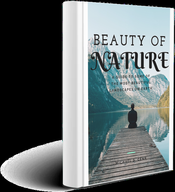 Professional Ebook or book cover design