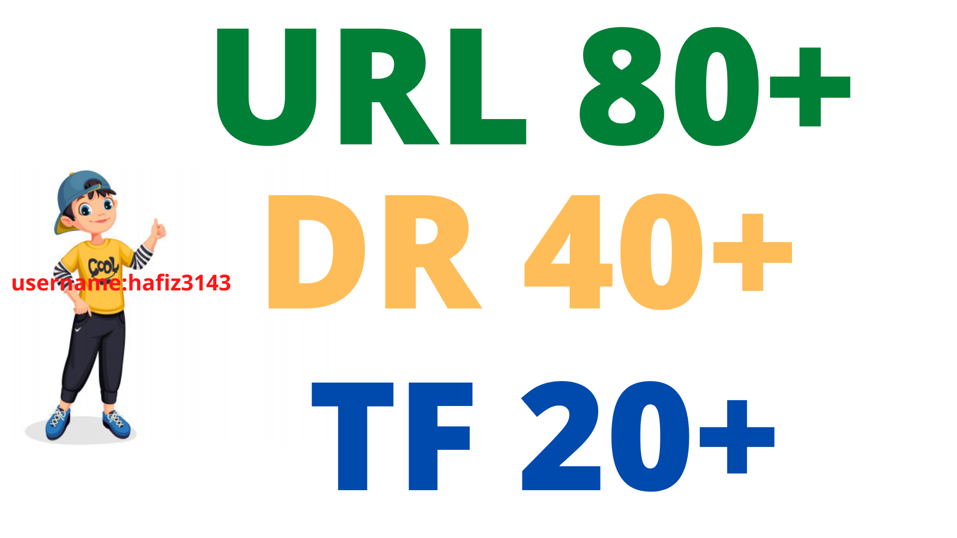 Increase Ahrefs DR 40 Plus URL Rating 80 Plus Majestic Trust Flow 20 Plus 