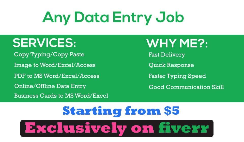 I can do any type of Data Entry work with 100% accuracy