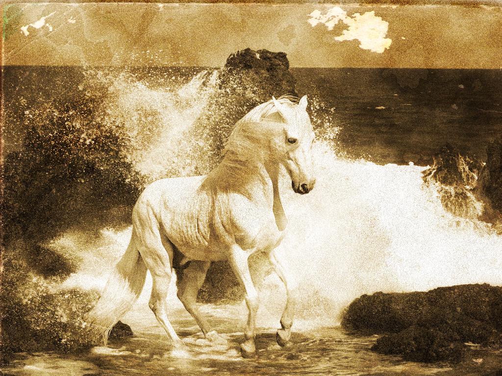 I can age your photographs to black and white or sepia