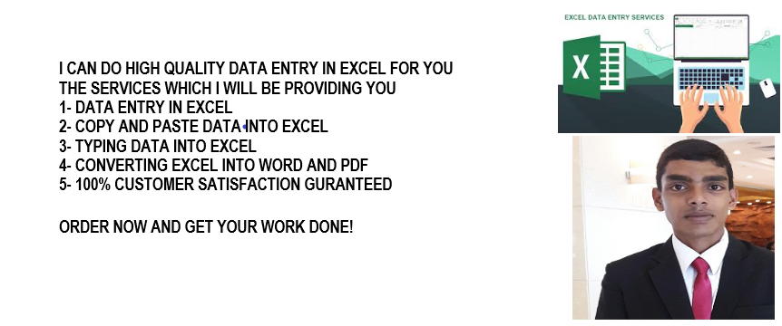 do high quality data entry in MS excel 