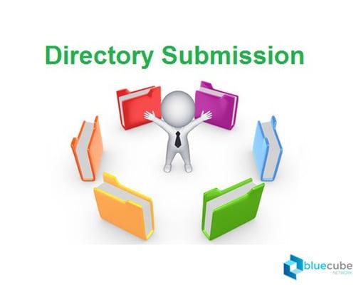 1000 directory submission for you website in less than 24 hours for high trafficking