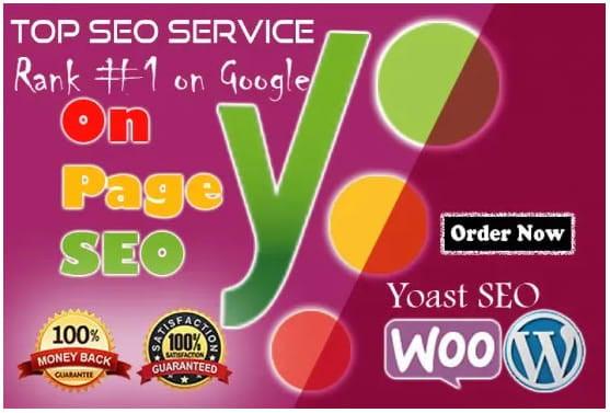 I will do onpage SEO with yoast premium in 24 hours