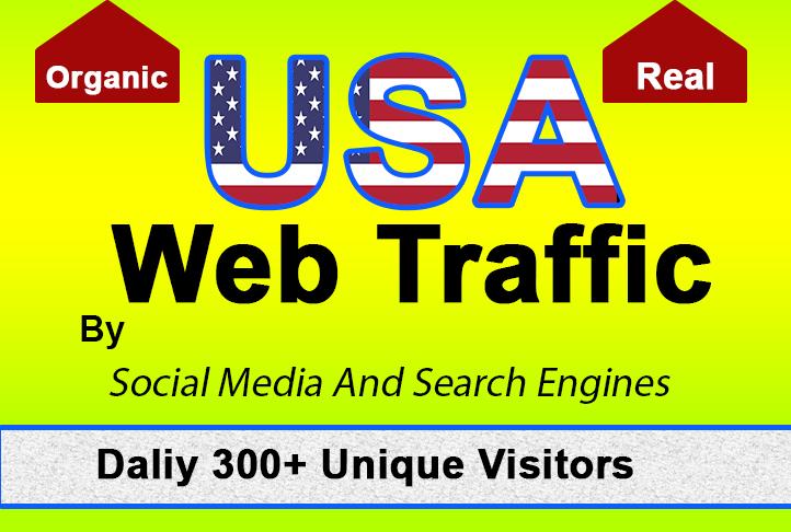  USA Web traffic safe and organic for 30 days