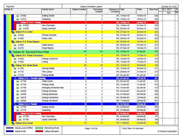 I make gantt charts on Primavera p6