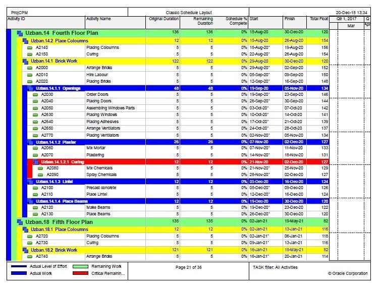 I make gantt charts on Primavera p6