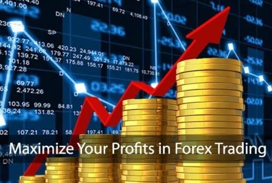 I Will Generate Hot Fresh Forex Leads Crypto Leads Mobile Leads