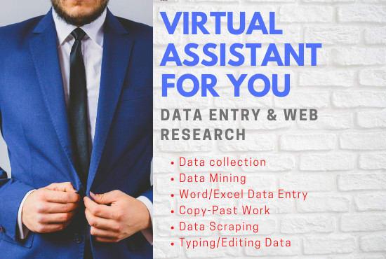 I will do Data entry in Ms word , excel , web reseach, convert PDF TO Ms word/ Excel