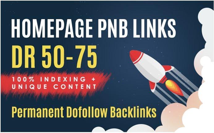 Build 10 Permanent DR 50To70 Homepage PBN Dofollow Backlink