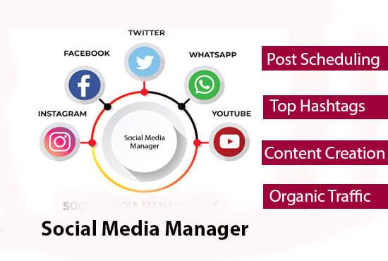 I will be your social media manager and personal assistant 