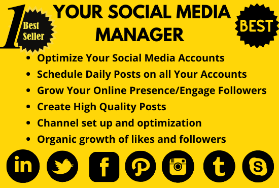 I will be your social media manager and personal assistant 