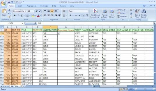 Doing all kind of data entry project.