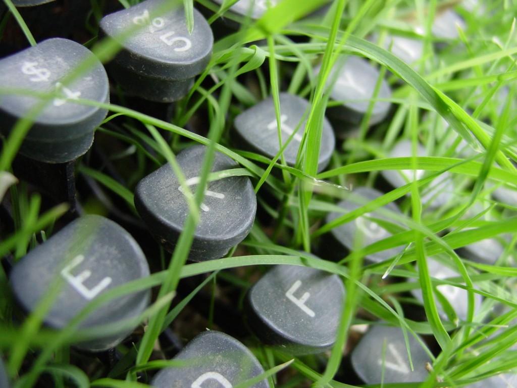 1000 or more directory submision 