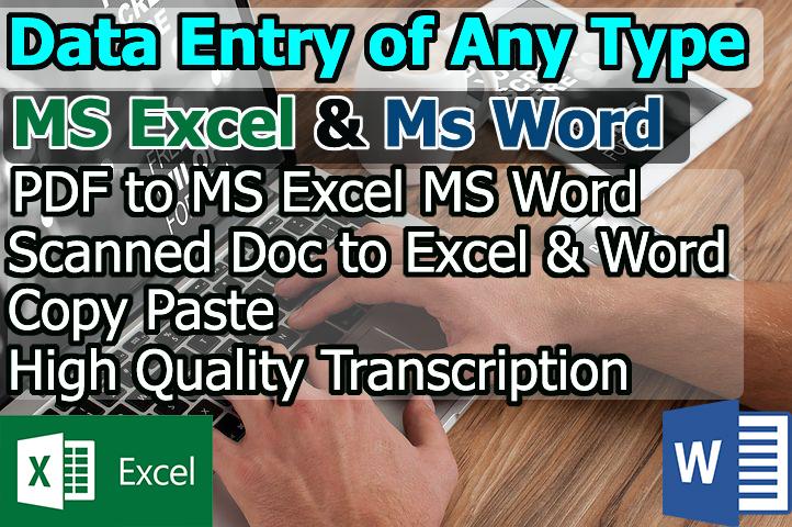 I Can Do Any Kind Of Data Entry Work As A virtual Assistant