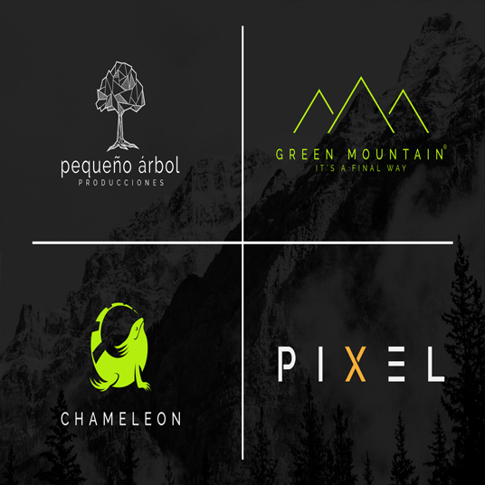 Design Business logo,website logo,