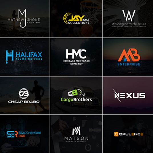 Design Business logo,website logo,