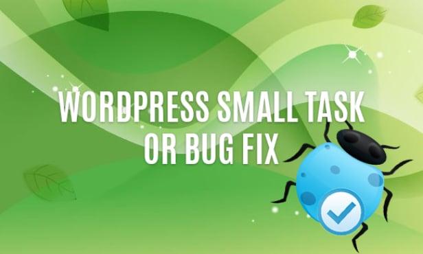 I will fix WordPress issues and bugs