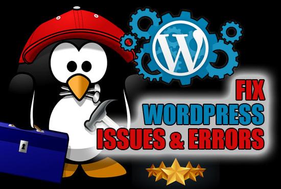 I will solve or fix wordpress issues, errors and do customization.