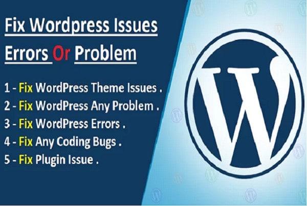 I will solve or fix wordpress issues, errors and do customization.